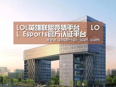 案例展示四